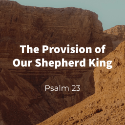 The Provision of Our Shepherd King (Psalm 23)