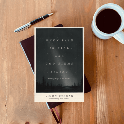 When Our Pain Is Real and God Seems Silent…Run To Jesus!