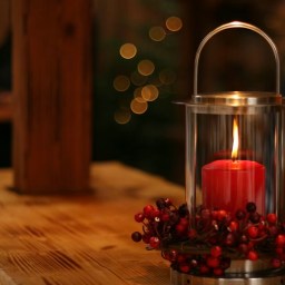 Hope: A Meditation for the First Week of Advent